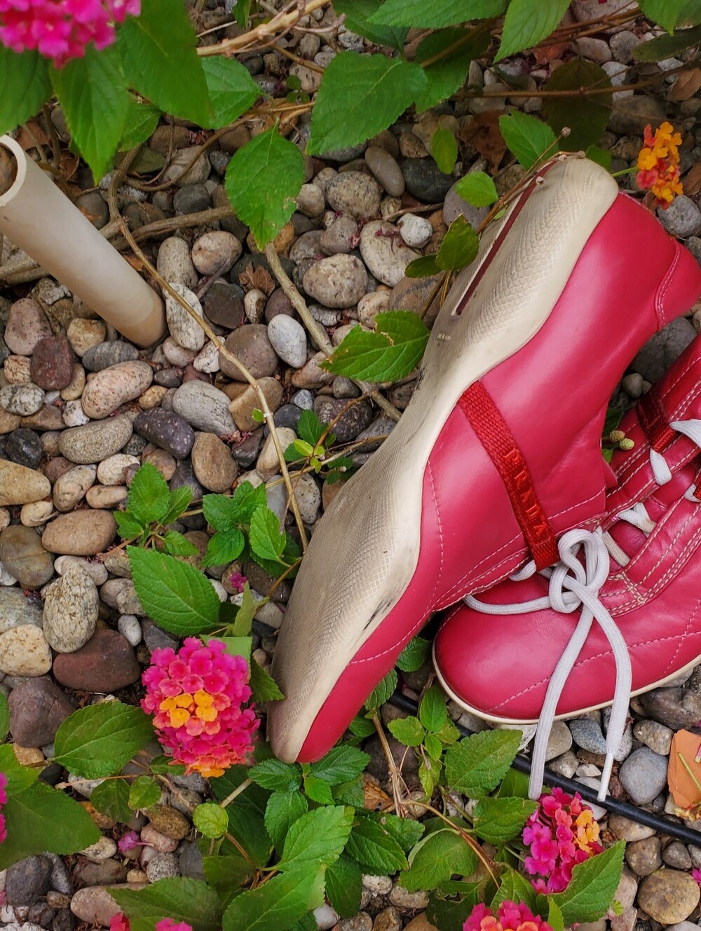 Prada Shoes - Picture 4 of 5